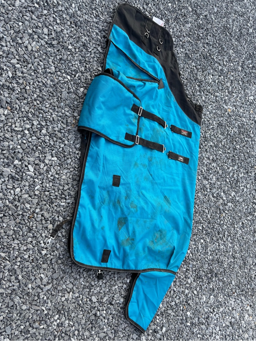 Schneiders StormShield Teal Turnout Blanket 72”